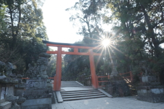 鳥居と木漏れ日