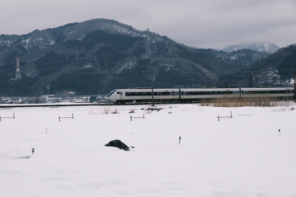 ３年ぶり、雪の中の余呉湖１周散策１
