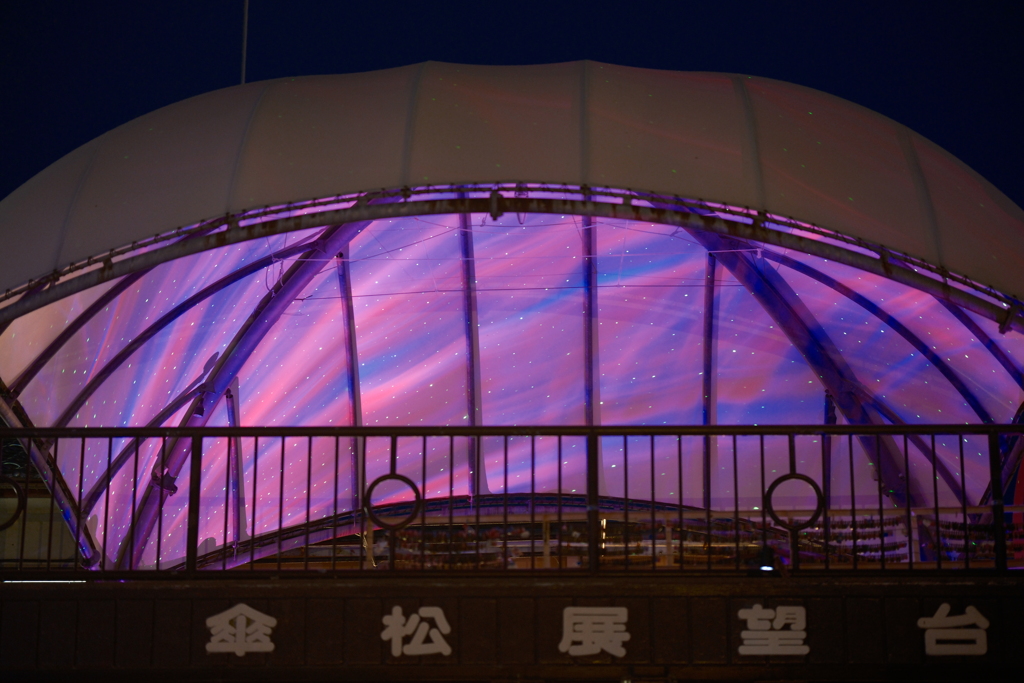 傘松公園夜桜ライトアップ、傘彩桜６