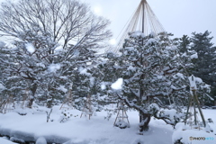 大雪時々吹雪の金沢６