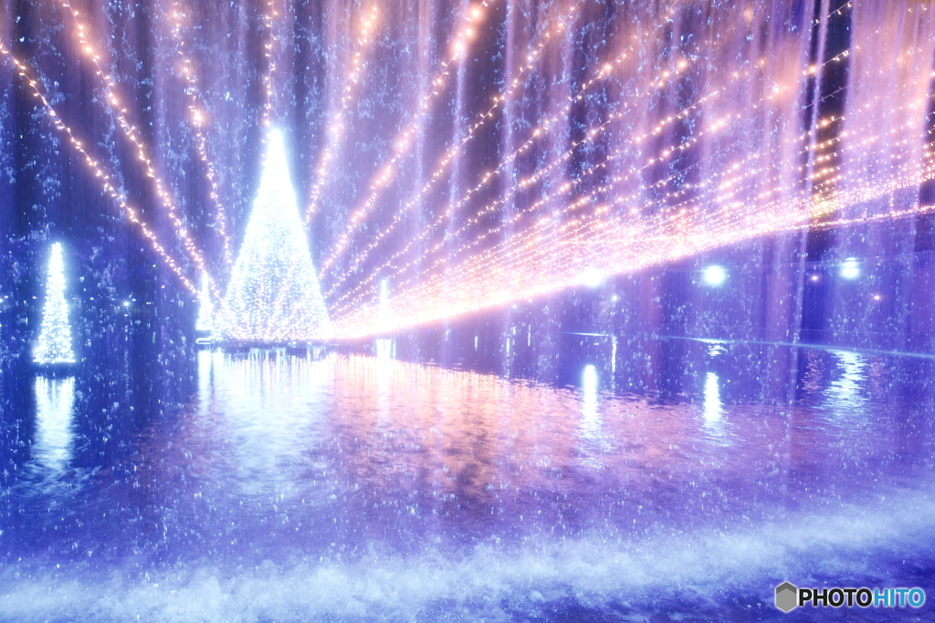 環水公園スイートイルミネーション2024-5