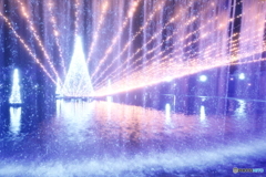 環水公園スイートイルミネーション2024-5