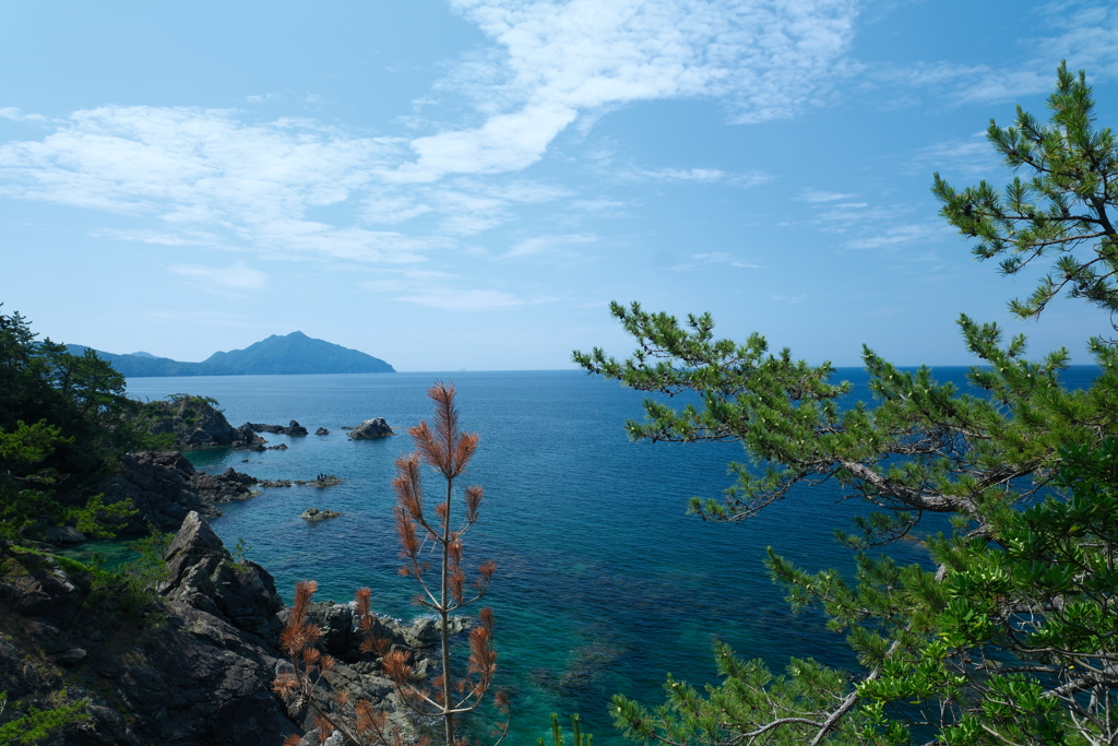 6月末の海２