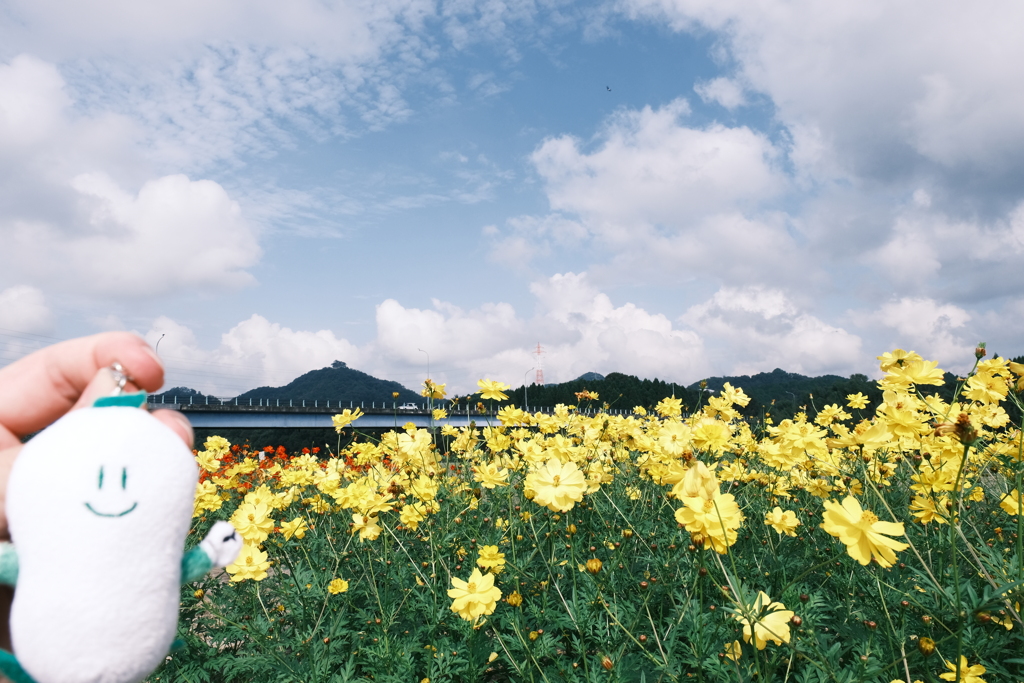 10月の真夏日和、最高気温約30度１