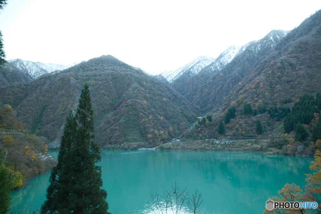 トロッコ列車に乗って2024-6
