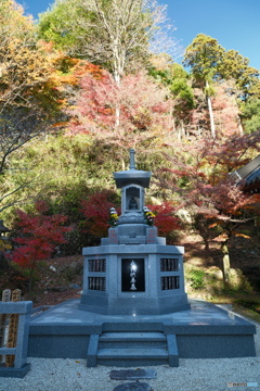 香嵐渓の紅葉１５