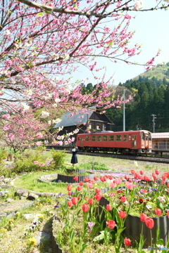 桜が終わっても見れた花見１０
