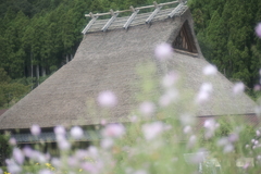 10月になり気候が極端に変わった時6