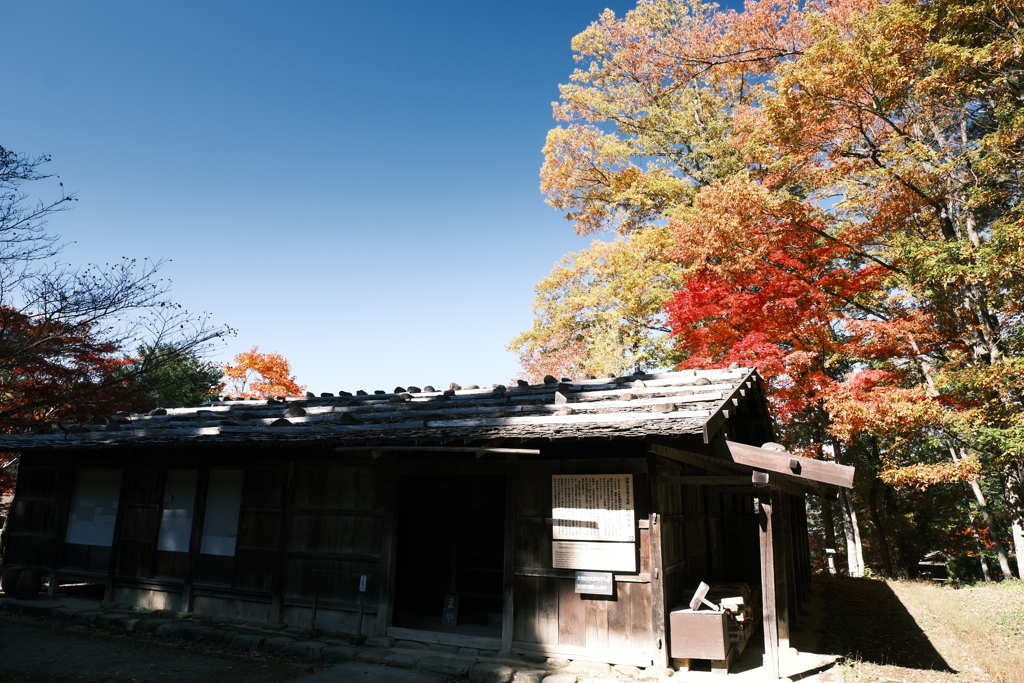 飛騨の里の紅葉巡り９