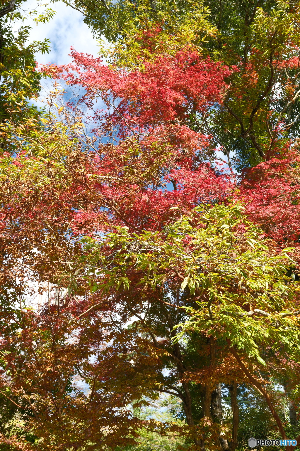 秘境で穴場な紅葉の旅８