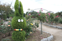 ちょっとだけ変わった所があるあやべグンゼスクエアのバラ園１