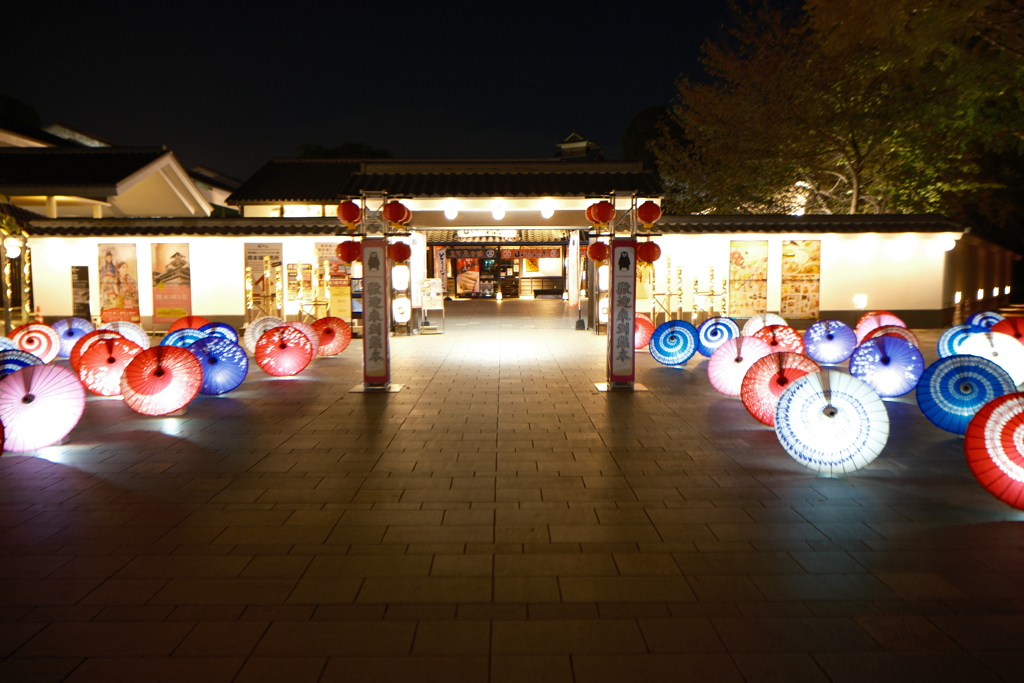夜の熊本城前5
