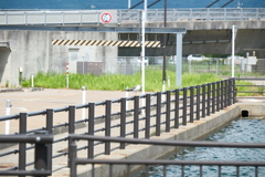 氷見市の散策２