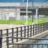 氷見市の散策２