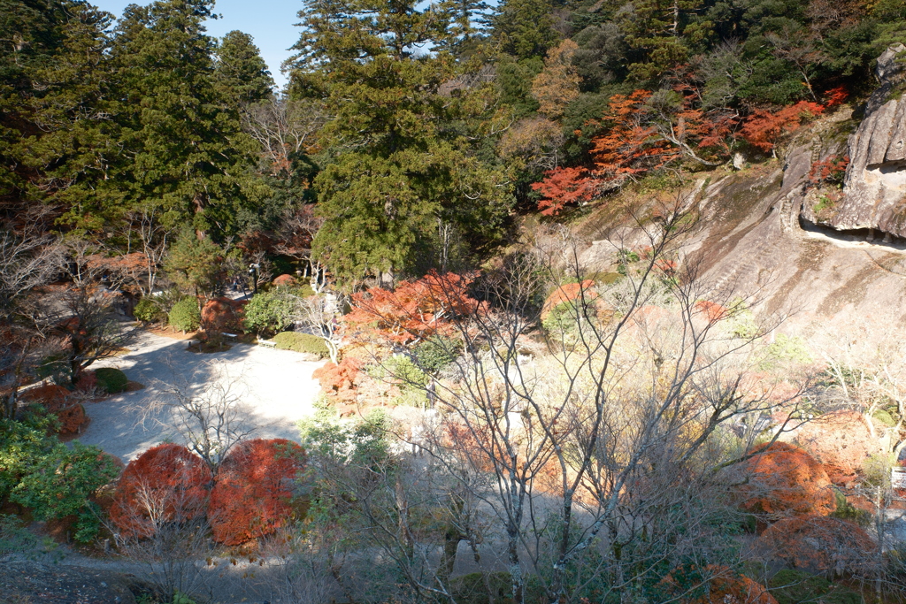 曇り予報であったが割と晴れた紅葉巡り９
