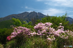 桜島を巡る旅８