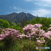桜島を巡る旅８