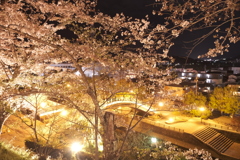 いがいと！夜桜５