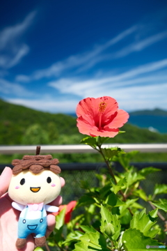 灼熱の傘松公園２