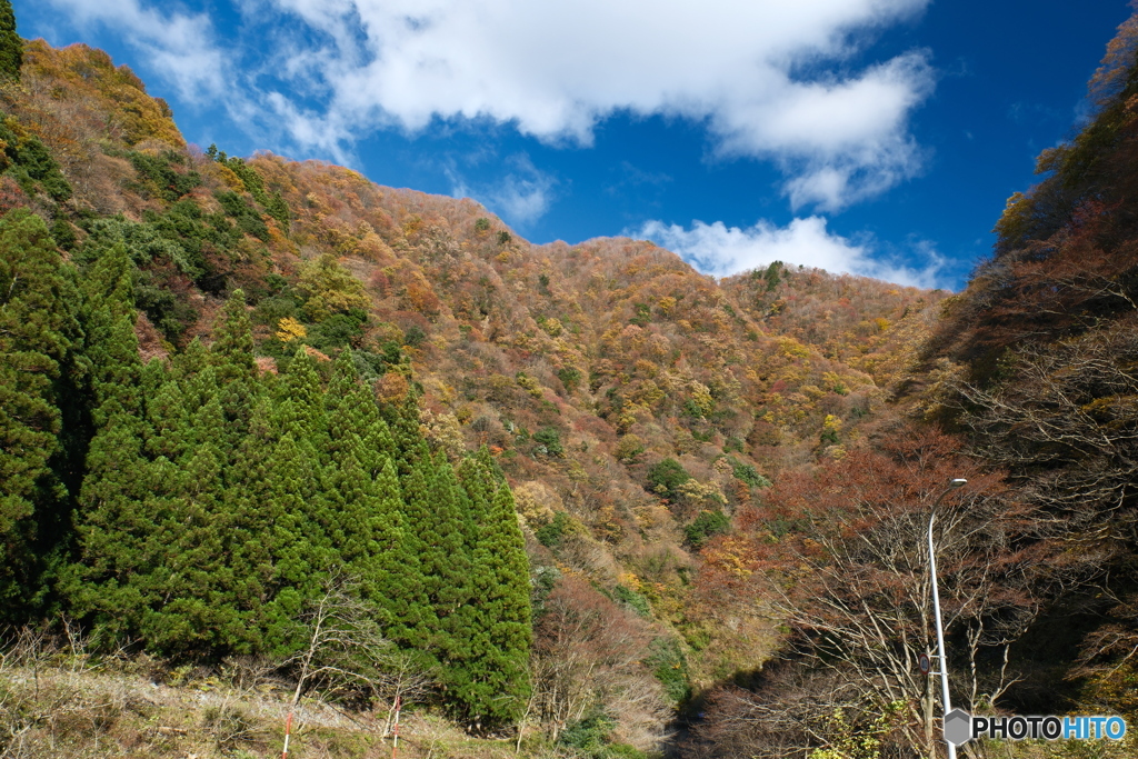 宇奈月温泉街の紅葉2024-6