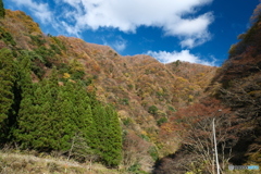 宇奈月温泉街の紅葉2024-6