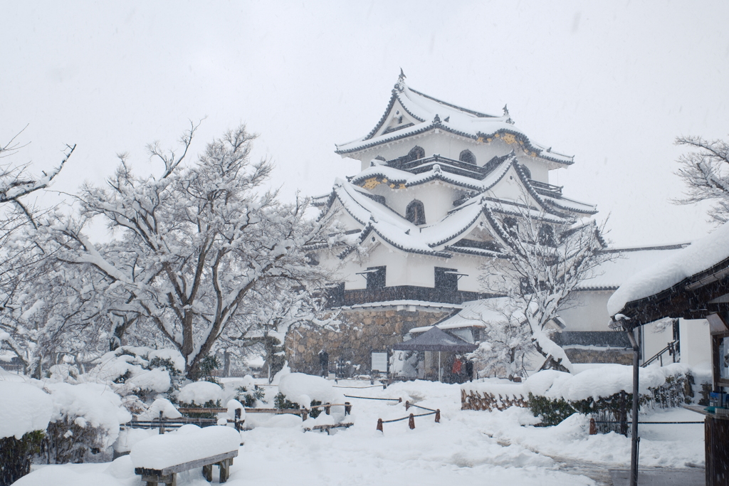 ある大雪の散策７