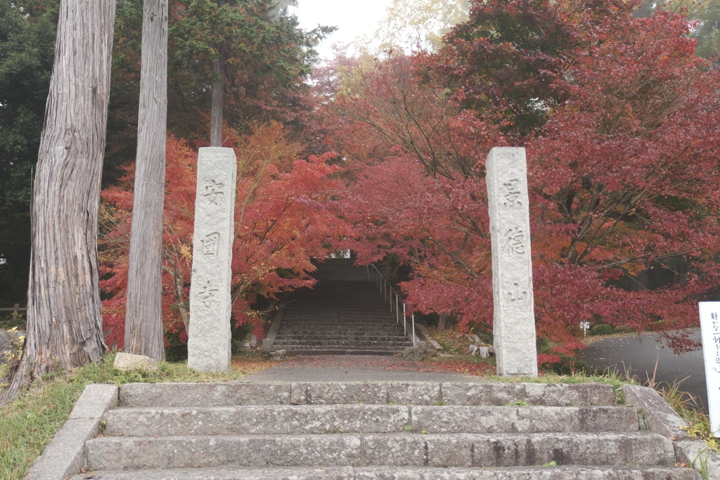 仕事は休業中、紅葉はフル稼働１