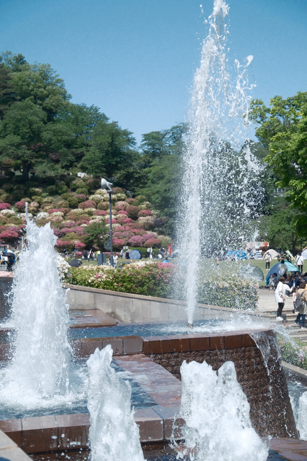 鯖江市西山公園での散策６