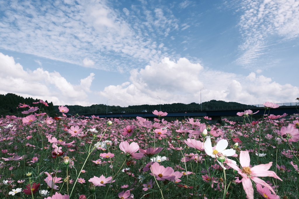 10月の真夏日和、最高気温約30度５