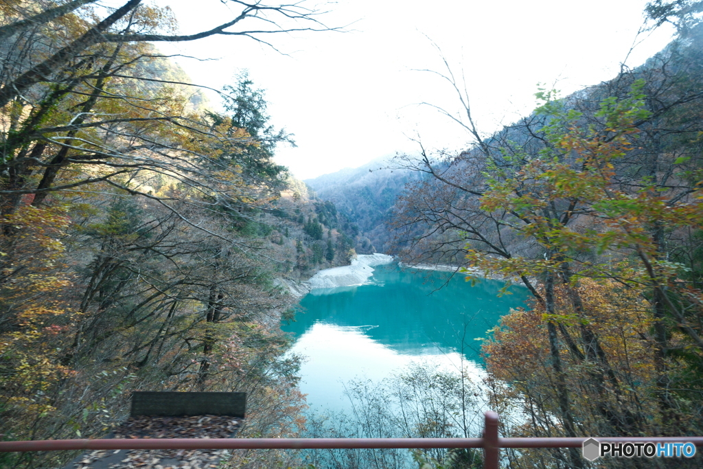トロッコ列車に乗って2024-3