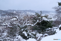 大雪時々吹雪の金沢７