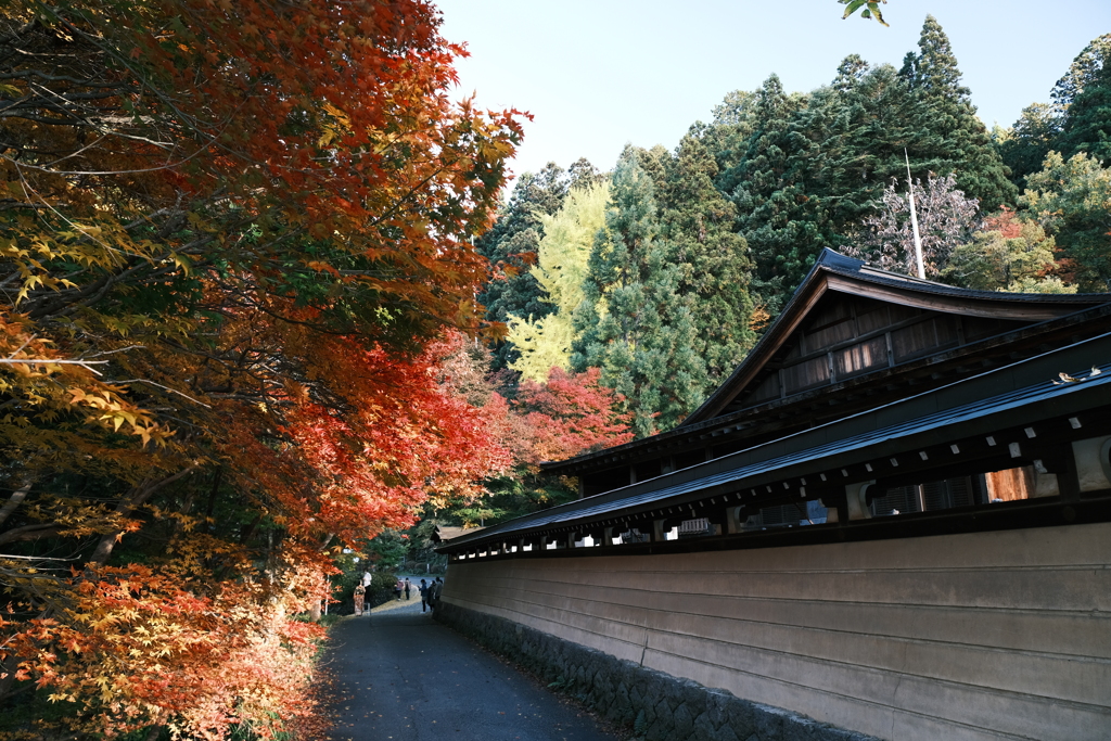 飛騨の里を巡った後、駆け足で巡る飛騨高山の紅葉２