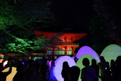 下鴨神社 糺の森の光の祭５