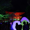 下鴨神社 糺の森の光の祭５