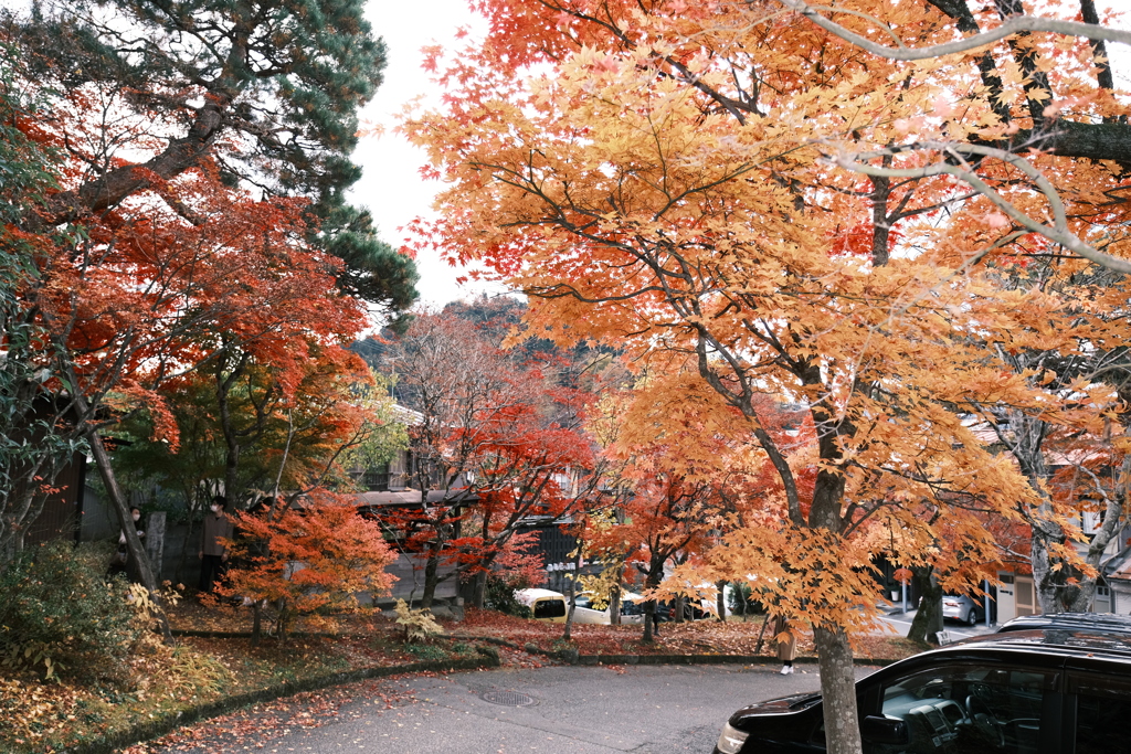 飛騨高山の紅葉巡り１３