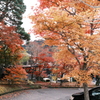 飛騨高山の紅葉巡り１３