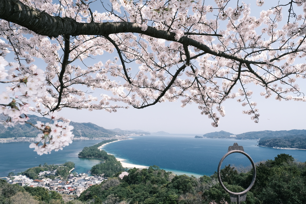 桜の季節の週末にここまで晴れた日が続くのはもうないと思って７