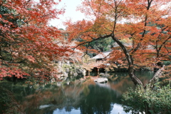 醍醐寺の紅葉４