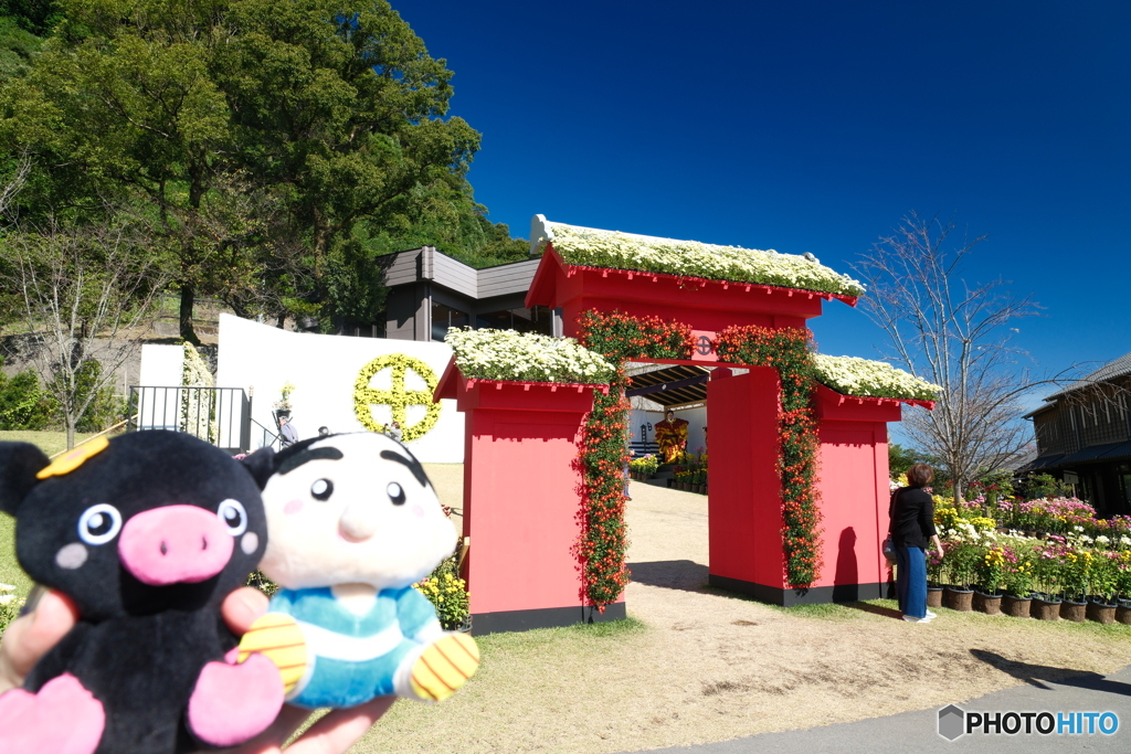 紅葉がメインにならなかった時６