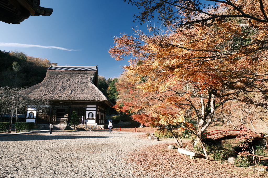 所変わって安国寺６