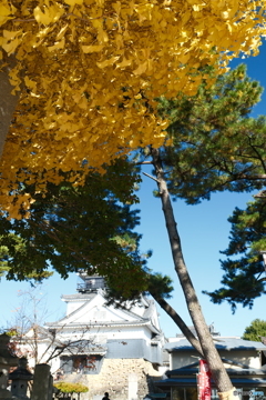 岡崎城公園の紅葉３
