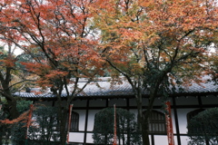 醍醐寺の紅葉２