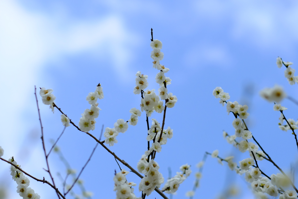 北野天満宮にて１