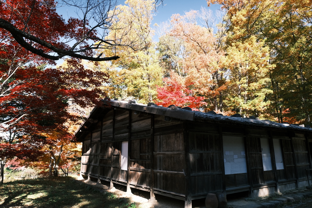 飛騨の里の紅葉巡り８