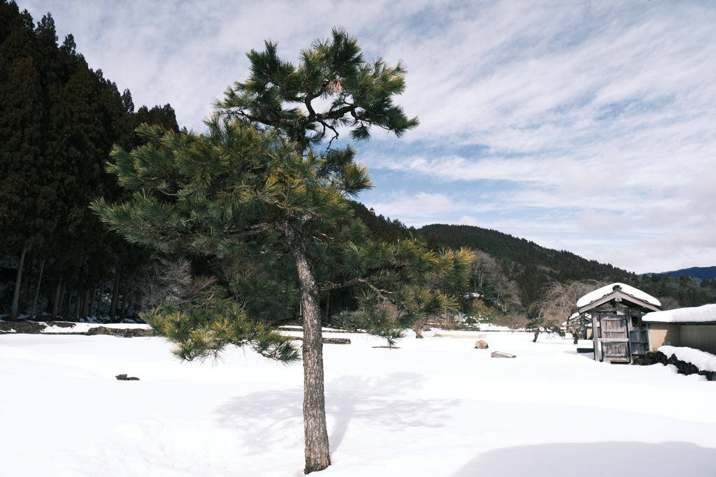 晴れた日の雪景色２