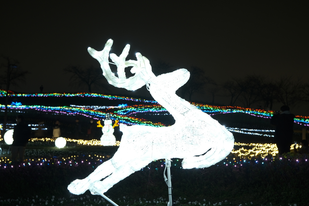 馬見クリスマスウィーク５