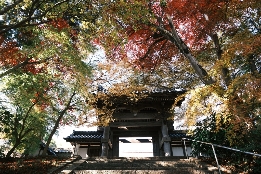 所変わって安国寺３