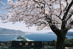 桜の季節の週末にここまで晴れた日が続くのはもうないと思って６