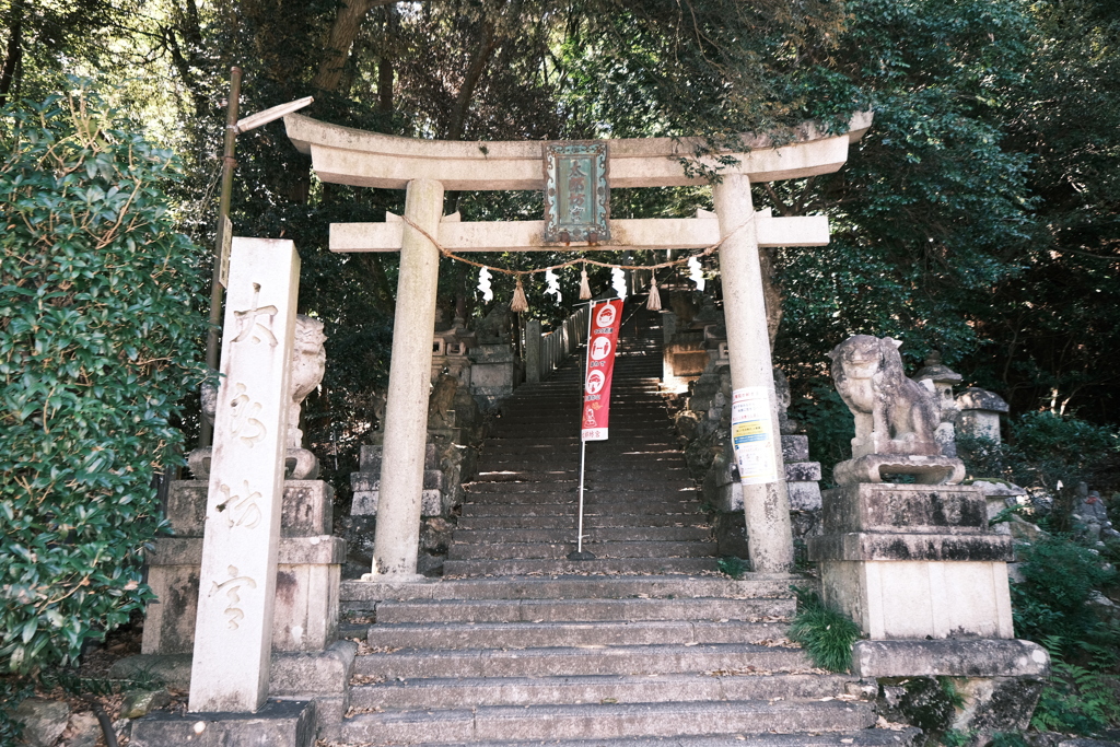 太郎坊宮、阿賀神社にて３