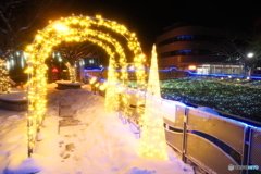 イルミネーションinひみ３